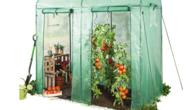 PowerTec Garden Tomatengewächshaus Norma