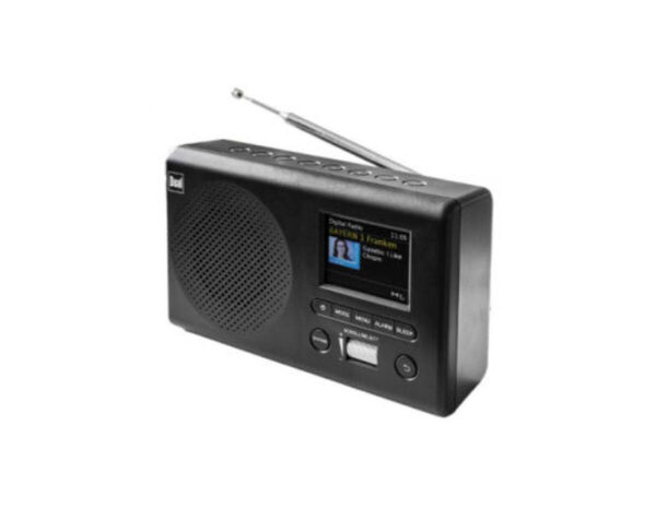 Dual Portables Radio MCR 4 Marktkauf
